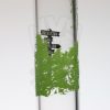 Sheldon Black 19" Standard Grasso Straight - DNA view 6