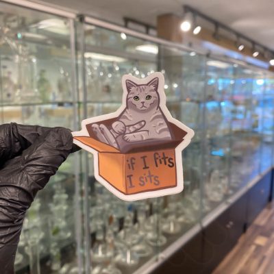 Big-Moods-Vinyl-Sticker-If-I-Fits-I-Sits